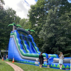 Blue Crush Dual Lane Slide