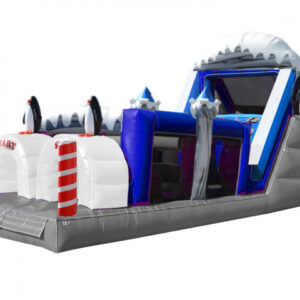 Penguin Glacier Obstacle Course