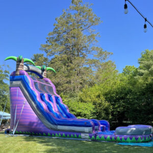 Purple Crush Dual Lane Slide