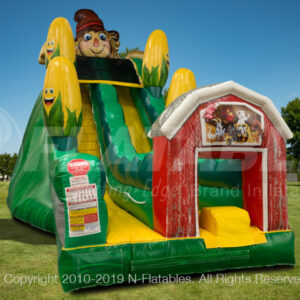 Scarecrow Slide