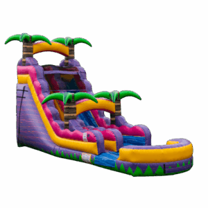 Purple Punch Water Slide