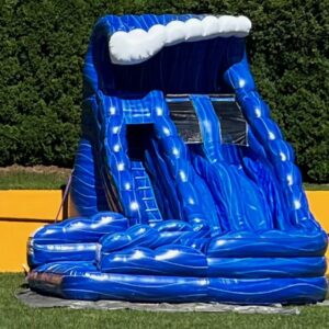 Monster Wave Water Slide Rental