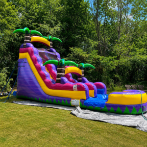 Purple Punch Water Slide