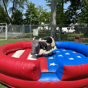 Mechanical Bull