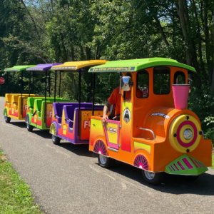 Electric Train